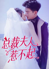 总裁夫人惹不起(全集)