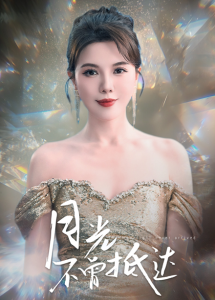 月光不曾抵达(全集)