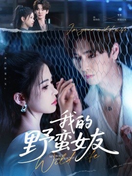 我的野蛮女友